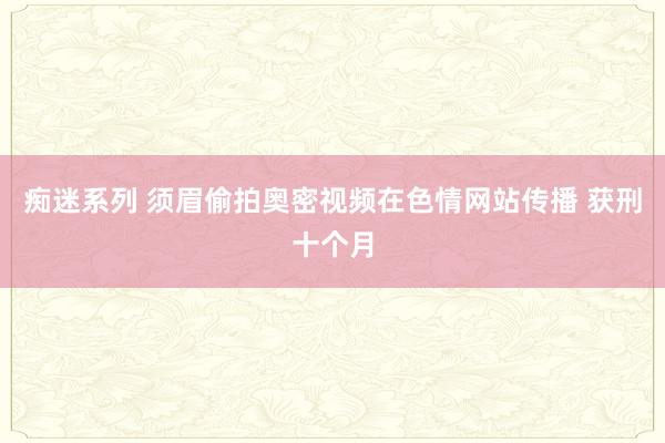 痴迷系列 须眉偷拍奥密视频在色情网站传播 获刑十个月