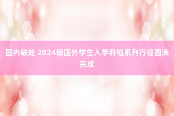 国内破处 2024级国外学生入学莳植系列行径圆满完成