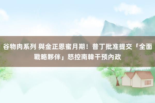 谷物肉系列 與金正恩蜜月期！普丁批准提交「全面戰略夥伴」　怒控南韓干预內政