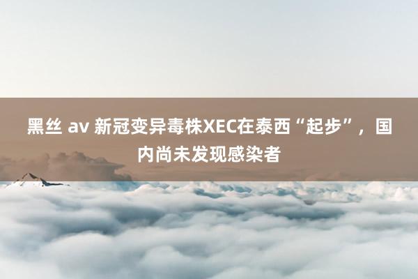 黑丝 av 新冠变异毒株XEC在泰西“起步”，国内尚未发现感染者