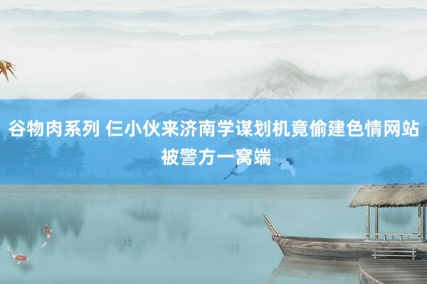 谷物肉系列 仨小伙来济南学谋划机竟偷建色情网站 被警方一窝端