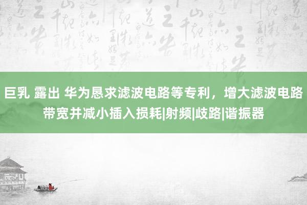 巨乳 露出 华为恳求滤波电路等专利，增大滤波电路带宽并减小插入损耗|射频|歧路|谐振器