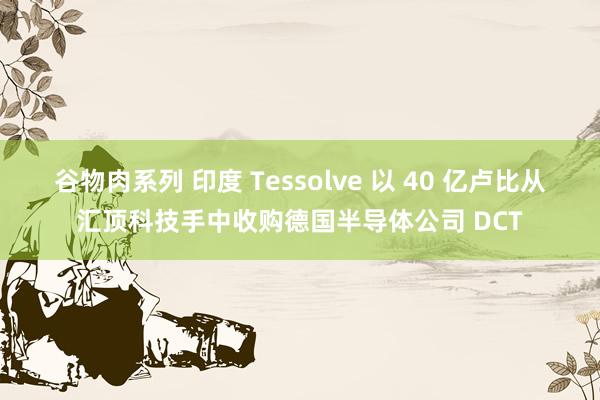 谷物肉系列 印度 Tessolve 以 40 亿卢比从汇顶科技手中收购德国半导体公司 DCT