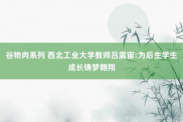 谷物肉系列 西北工业大学教师吕震宙:为后生学生成长铸梦翱翔