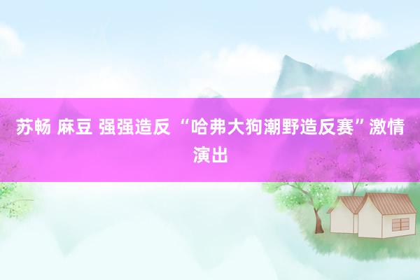 苏畅 麻豆 强强造反 “哈弗大狗潮野造反赛”激情演出