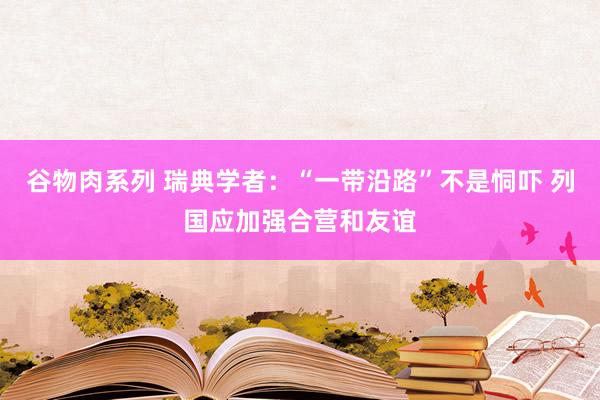 谷物肉系列 瑞典学者：“一带沿路”不是恫吓 列国应加强合营和友谊